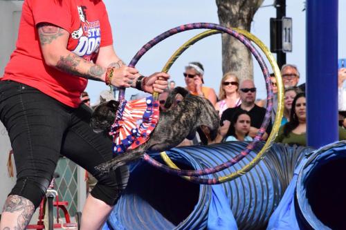 Dog Show at the 4th Annual Bradenton Area River Regatta