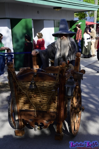 Florida Renaissance Festival 2020 Opening Weekend Day One