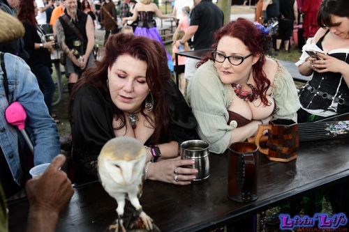 Florida Renaissance Festival 2020 Opening Weekend Day One