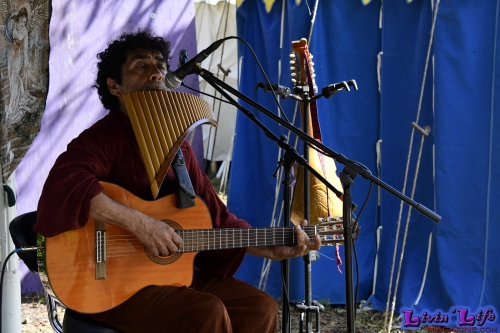 Florida Renaissance Festival 2020 Weekend I: The Tudors - Henry VIII...He's Back! - Day One