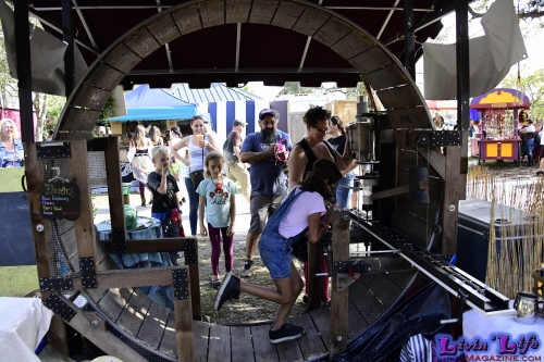 Florida Renaissance Festival 2020 Weekend I: The Tudors - Henry VIII...He's Back! - Day One