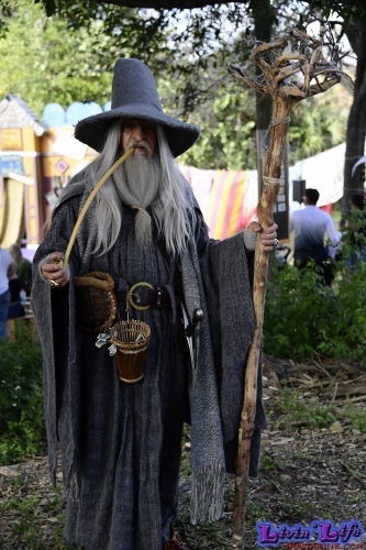 Florida Renaissance Festival 2020 Weekend I: The Tudors - Henry VIII...He's Back! - Day One