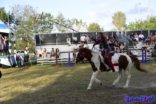 Florida Renaissance Festival 2020 Weekend I: The Tudors - Henry VIII...He's Back! - Day One