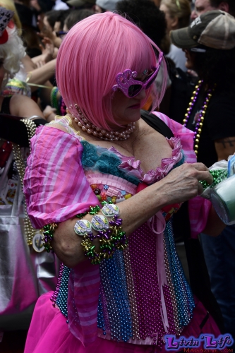 Mardi Gras in New Orleans 2019 - 017