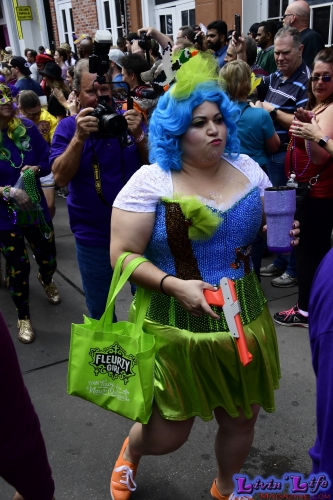 Mardi Gras in New Orleans 2019 - 021