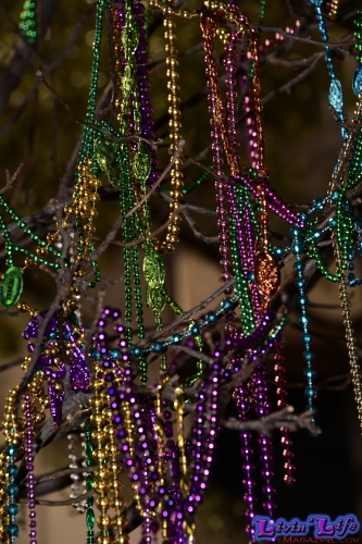 Mardi Gras in New Orleans 2019 - 092