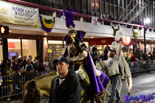 Mardi Gras in New Orleans 2019 - 097