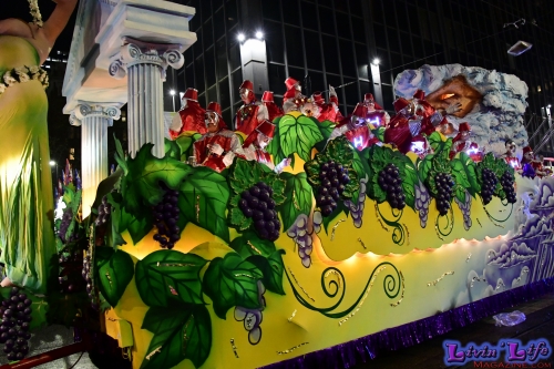 Mardi Gras in New Orleans 2019 - 113