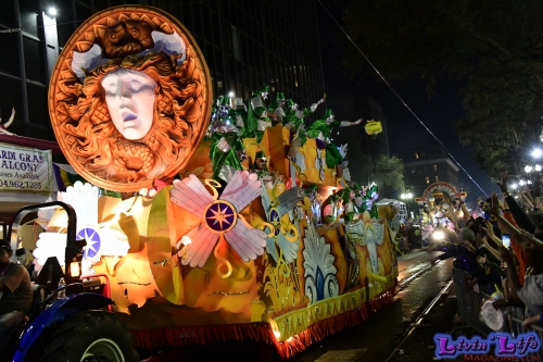 Mardi Gras in New Orleans 2019 - 123