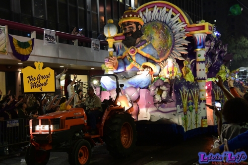 Mardi Gras in New Orleans 2019 - 125