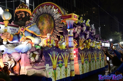 Mardi Gras in New Orleans 2019 - 126