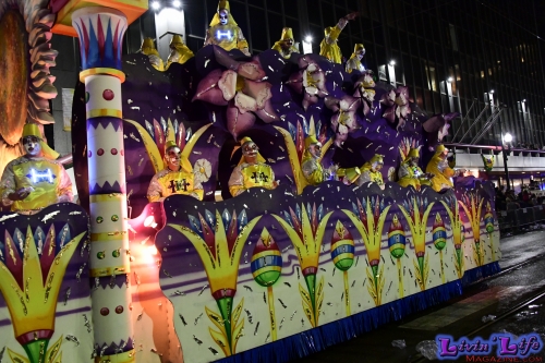 Mardi Gras in New Orleans 2019 - 127