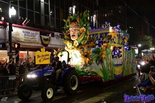 Mardi Gras in New Orleans 2019 - 134