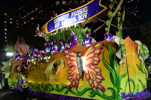 Mardi Gras in New Orleans 2019 - 141
