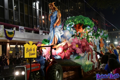 Mardi Gras in New Orleans 2019 - 146