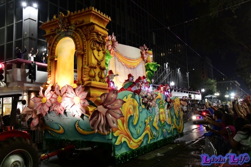 Mardi Gras in New Orleans 2019 - 155