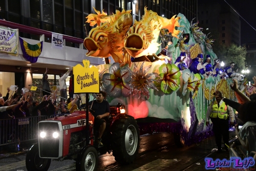 Mardi Gras in New Orleans 2019 - 158