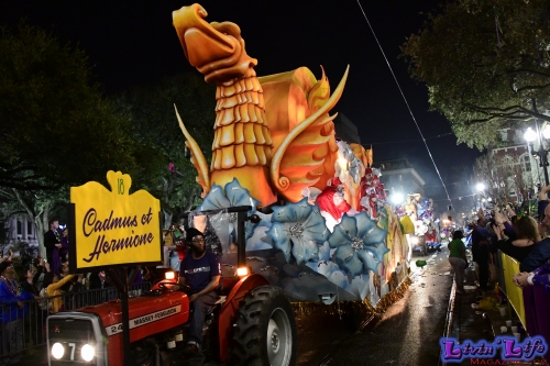 Mardi Gras in New Orleans 2019 - 163