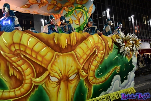 Mardi Gras in New Orleans 2019 - 173