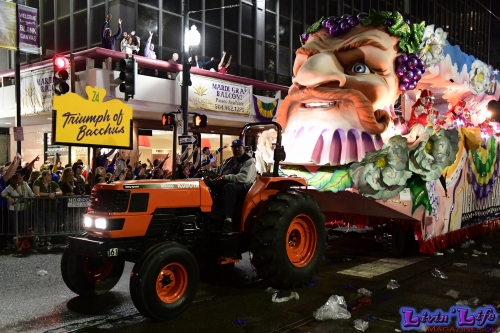 Mardi Gras in New Orleans 2019 - 177