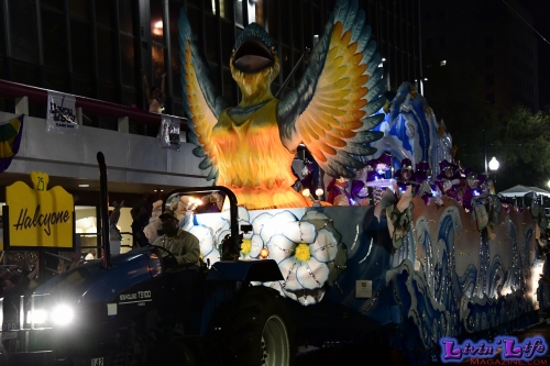 Mardi Gras in New Orleans 2019 - 180