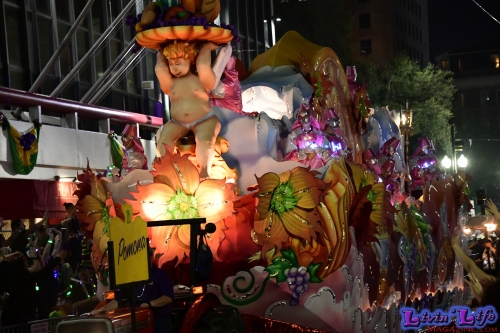 Mardi Gras in New Orleans 2019 - 182