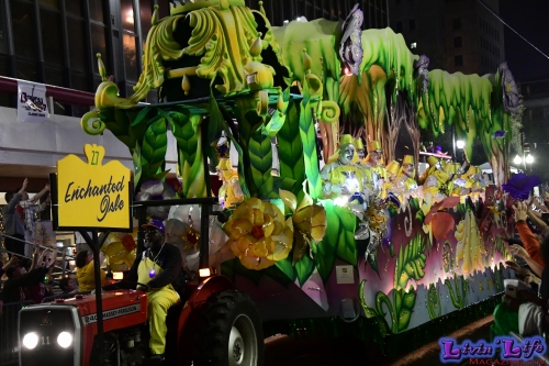 Mardi Gras in New Orleans 2019 - 184