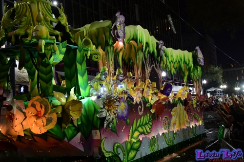 Mardi Gras in New Orleans 2019 - 185