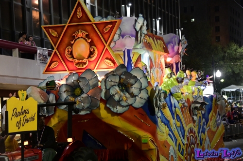 Mardi Gras in New Orleans 2019 - 187