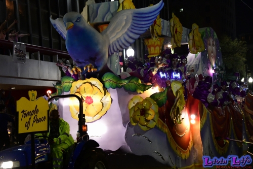 Mardi Gras in New Orleans 2019 - 190
