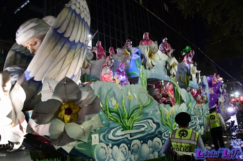 Mardi Gras in New Orleans 2019 - 196