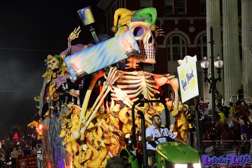 Mardi Gras in New Orleans 2019 - 208