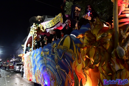 Mardi Gras in New Orleans 2019 - 211