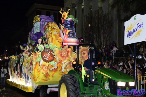 Mardi Gras in New Orleans 2019 - 216