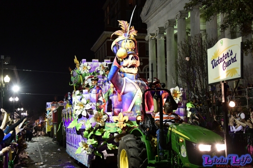 Mardi Gras in New Orleans 2019 - 238