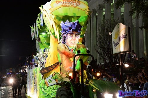 Mardi Gras in New Orleans 2019 - 245