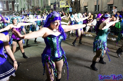 Mardi Gras in New Orleans 2019 - 266