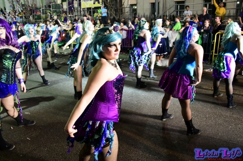 Mardi Gras in New Orleans 2019 - 267