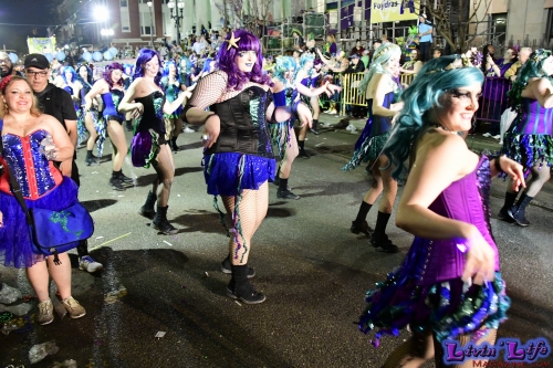 Mardi Gras in New Orleans 2019 - 268