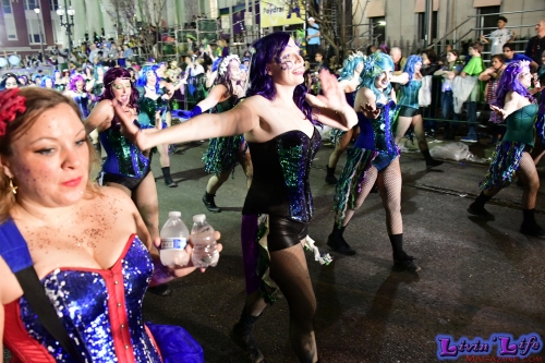 Mardi Gras in New Orleans 2019 - 269