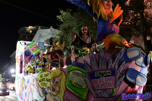 Mardi Gras in New Orleans 2019 - 306