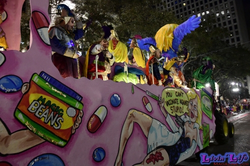 Mardi Gras in New Orleans 2019 - 307