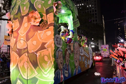 Mardi Gras in New Orleans 2019 - 314