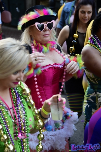 Mardi Gras in New Orleans 2019 - 326