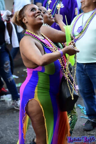 Mardi Gras in New Orleans 2019 - 327