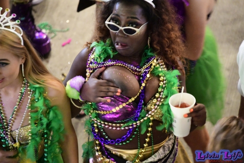 Mardi Gras in New Orleans 2019 - 347