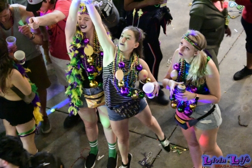 Mardi Gras in New Orleans 2019 - 364