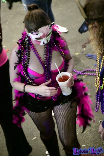 Mardi Gras in New Orleans 2019 - 366
