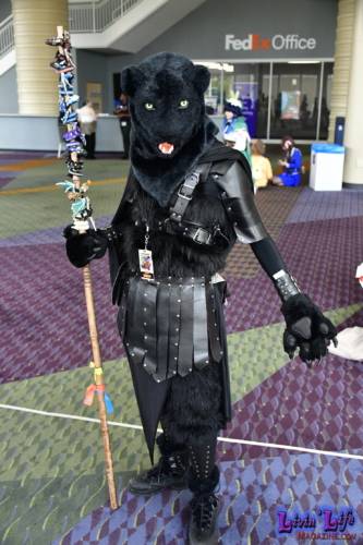 MegaCon Orlando 2022 - 1026