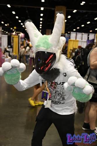MegaCon-2024-292